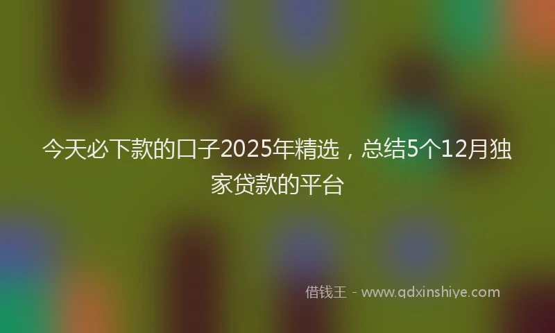 今天必下款的口子2025年精选，总结5个12月独家贷款的平台