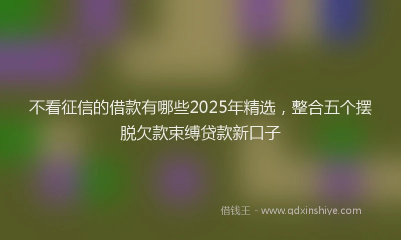 不看征信的借款有哪些2025年精选，整合五个摆脱欠款束缚贷款新口子
