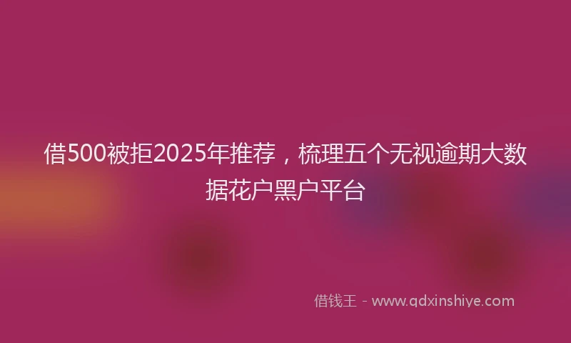 借500被拒2025年推荐，梳理五个无视逾期大数据花户黑户平台