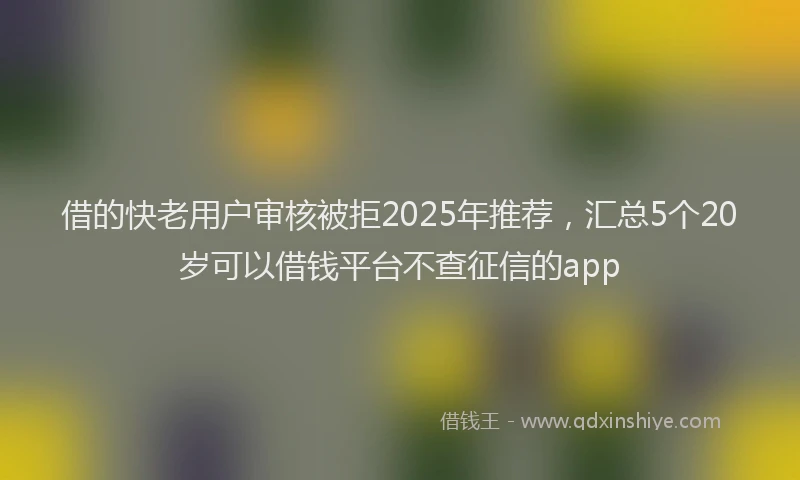 借的快老用户审核被拒2025年推荐，汇总5个20岁可以借钱平台不查征信的app