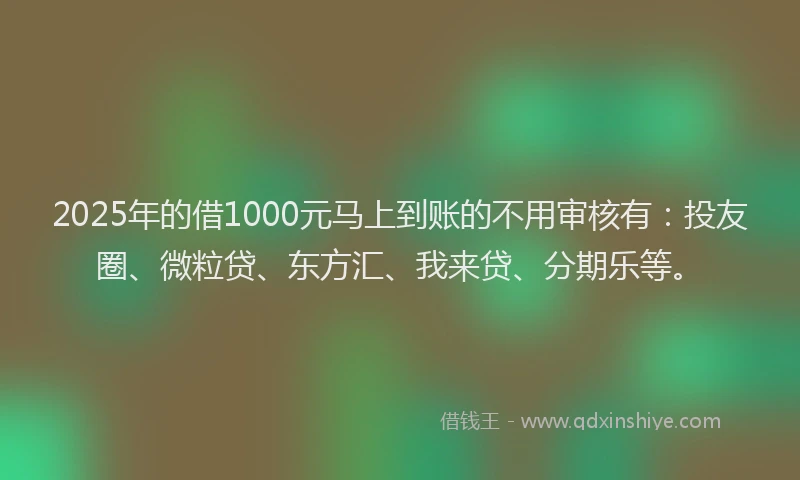 2025年的借1000元马上到账的不用审核有：投友圈、微粒贷、东方汇、我来贷、分期乐等。