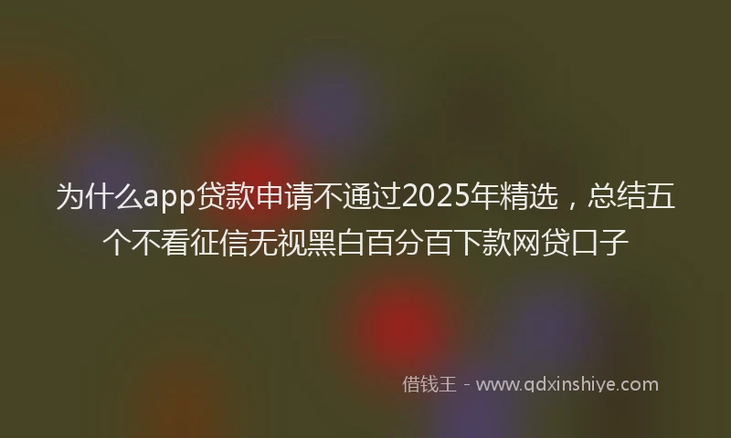 为什么app贷款申请不通过2025年精选，总结五个不看征信无视黑白百分百下款网贷口子