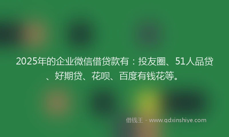 2025年的企业微信借贷款有：投友圈、51人品贷、好期贷、花呗、百度有钱花等。