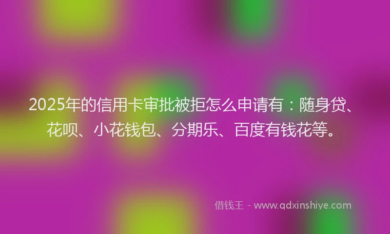 2025年的信用卡审批被拒怎么申请有：随身贷、花呗、小花钱包、分期乐、百度有钱花等。