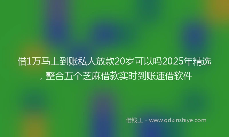 借1万马上到账私人放款20岁可以吗2025年精选，整合五个芝麻借款实时到账速借软件