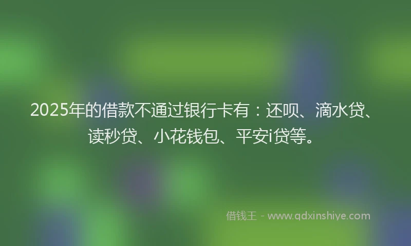 2025年的借款不通过银行卡有：还呗、滴水贷、读秒贷、小花钱包、平安i贷等。