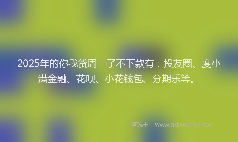 2025年的你我贷周一了不下款有：投友圈、度小满金融、花呗、小花钱包、分期乐等。