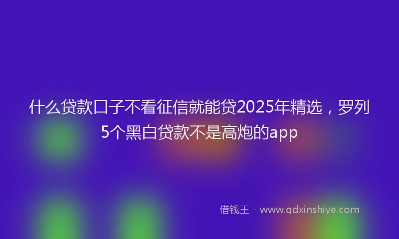 什么贷款口子不看征信就能贷2025年精选，罗列5个黑白贷款不是高炮的app