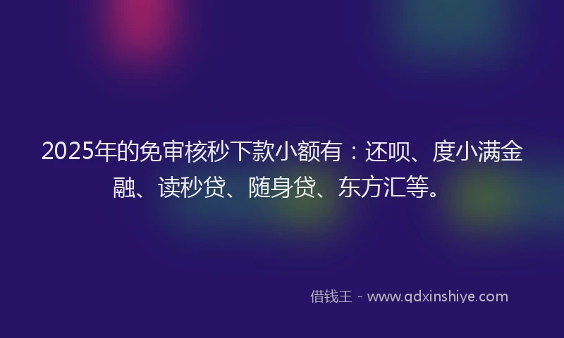 2025年的免审核秒下款小额有：还呗、度小满金融、读秒贷、随身贷、东方汇等。