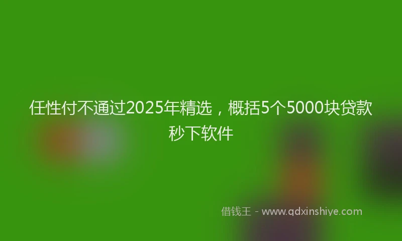 任性付不通过2025年精选，概括5个5000块贷款秒下软件