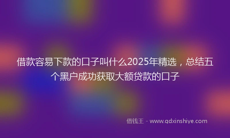 借款容易下款的口子叫什么2025年精选，总结五个黑户成功获取大额贷款的口子