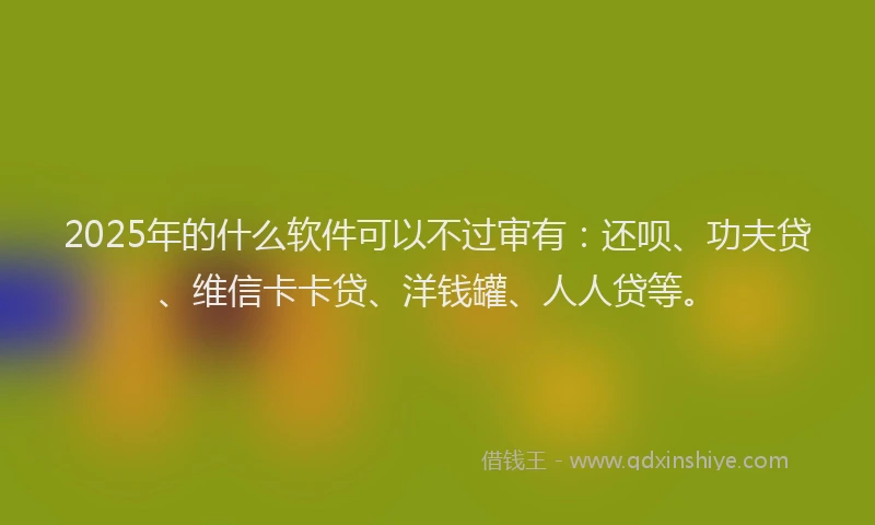 2025年的什么软件可以不过审有：还呗、功夫贷、维信卡卡贷、洋钱罐、人人贷等。