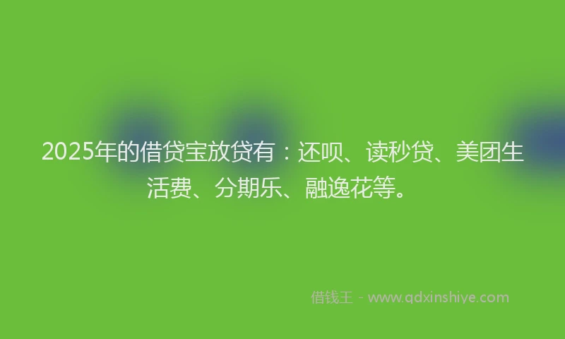 2025年的借贷宝放贷有：还呗、读秒贷、美团生活费、分期乐、融逸花等。