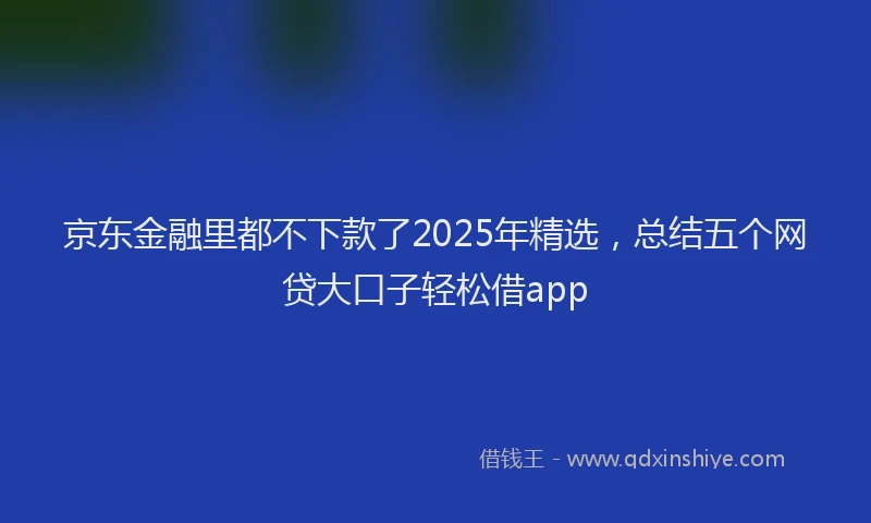 京东金融里都不下款了2025年精选，总结五个网贷大口子轻松借app
