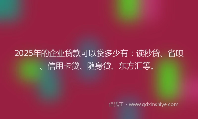 2025年的企业贷款可以贷多少有：读秒贷、省呗、信用卡贷、随身贷、东方汇等。