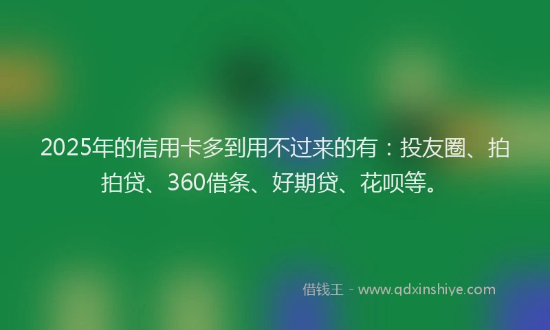 2025年的信用卡多到用不过来的有：投友圈、拍拍贷、360借条、好期贷、花呗等。