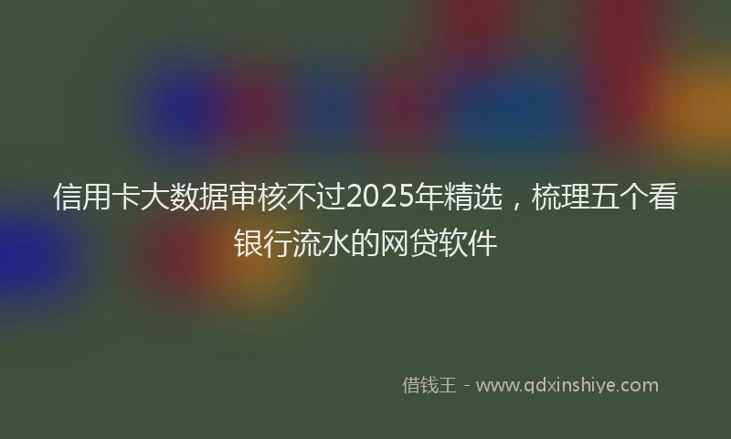 信用卡大数据审核不过2025年精选，梳理五个看银行流水的网贷软件