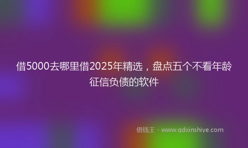 借5000去哪里借2025年精选，盘点五个不看年龄征信负债的软件