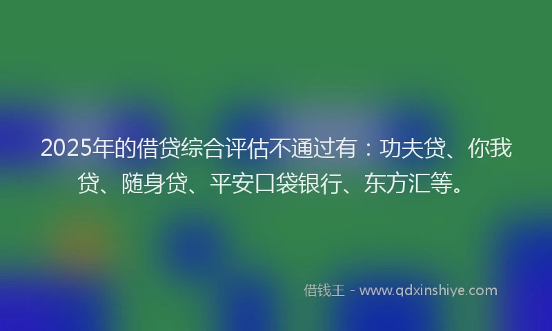2025年的借贷综合评估不通过有：功夫贷、你我贷、随身贷、平安口袋银行、东方汇等。