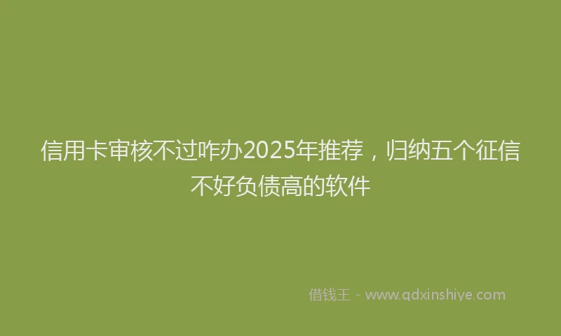 信用卡审核不过咋办2025年推荐，归纳五个征信不好负债高的软件