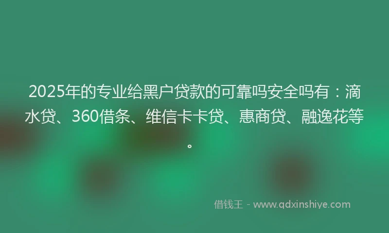 2025年的专业给黑户贷款的可靠吗安全吗有：滴水贷、360借条、维信卡卡贷、惠商贷、融逸花等。