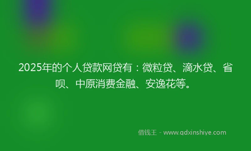 2025年的个人贷款网贷有：微粒贷、滴水贷、省呗、中原消费金融、安逸花等。