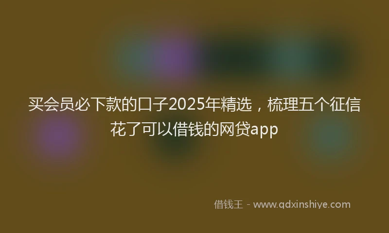 买会员必下款的口子2025年精选，梳理五个征信花了可以借钱的网贷app
