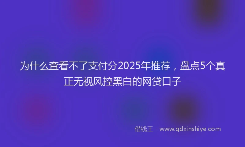 为什么查看不了支付分2025年推荐，盘点5个真正无视风控黑白的网贷口子