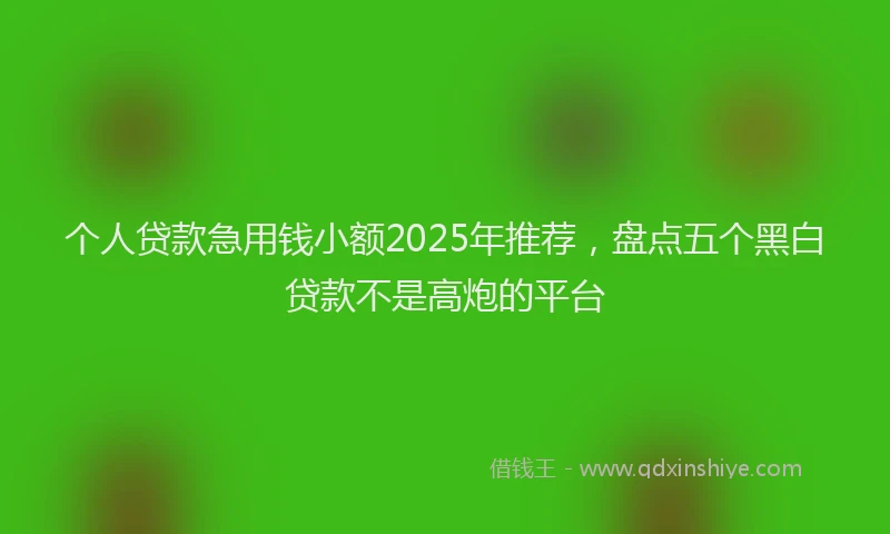 个人贷款急用钱小额2025年推荐，盘点五个黑白贷款不是高炮的平台