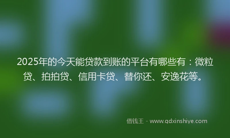 2025年的今天能贷款到账的平台有哪些有：微粒贷、拍拍贷、信用卡贷、替你还、安逸花等。