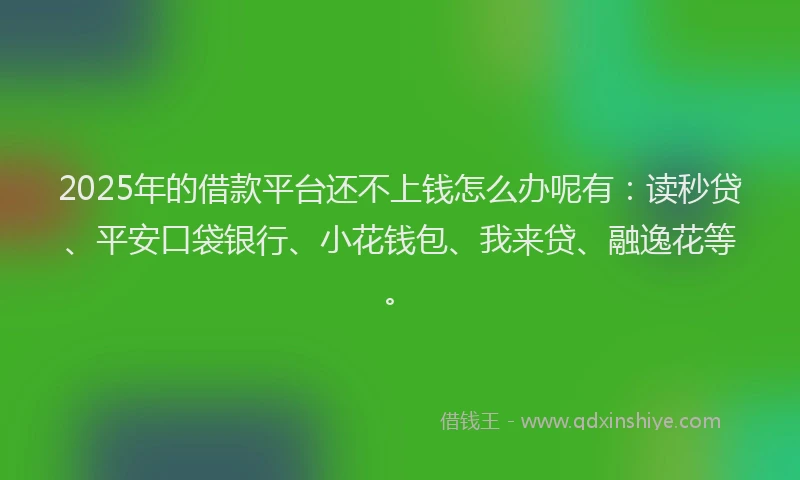 2025年的借款平台还不上钱怎么办呢有:读秒贷、平安口袋银行、小花钱包、我来贷、融逸花等。