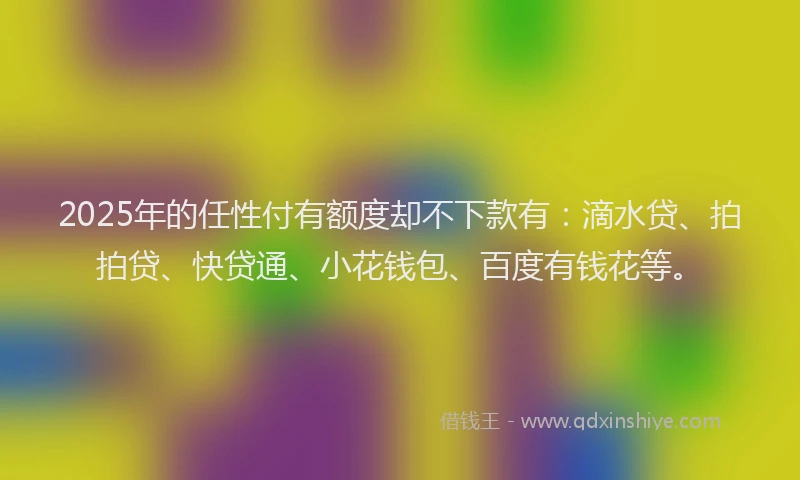 2025年的任性付有额度却不下款有：滴水贷、拍拍贷、快贷通、小花钱包、百度有钱花等。