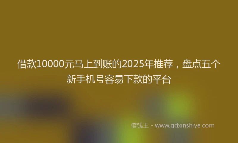 借款10000元马上到账的2025年推荐，盘点五个新手机号容易下款的平台