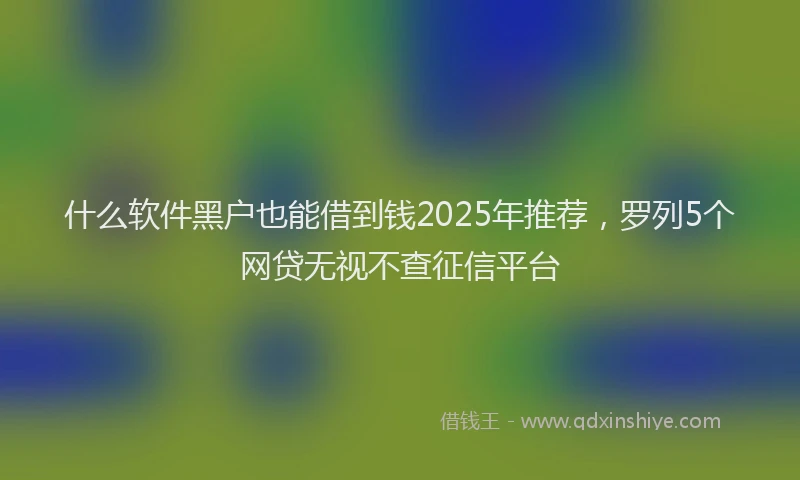 什么软件黑户也能借到钱2025年推荐，罗列5个网贷无视不查征信平台