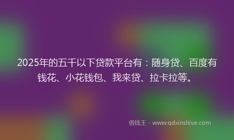 2025年的五千以下贷款平台有：随身贷、百度有钱花、小花钱包、我来贷、拉卡拉等。