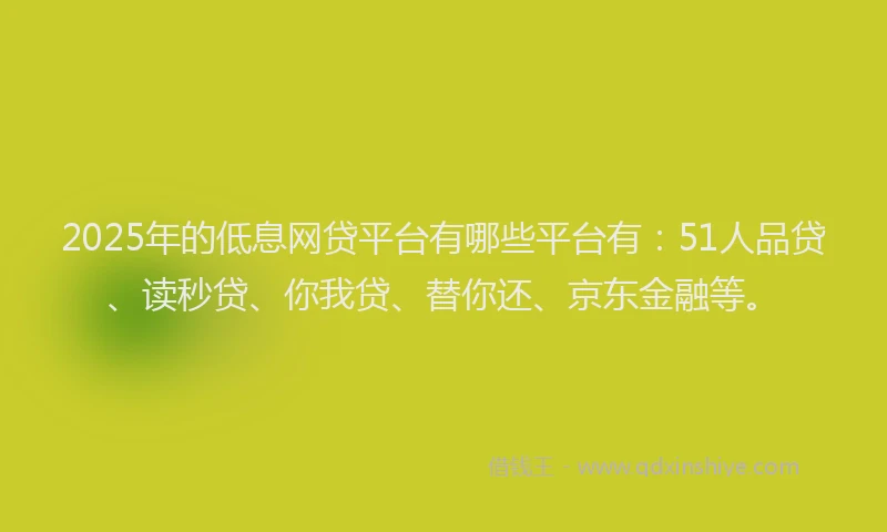 2025年的低息网贷平台有哪些平台有：51人品贷、读秒贷、你我贷、替你还、京东金融等。