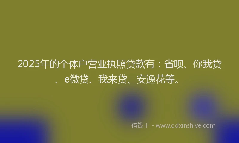 2025年的个体户营业执照贷款有：省呗、你我贷、e微贷、我来贷、安逸花等。