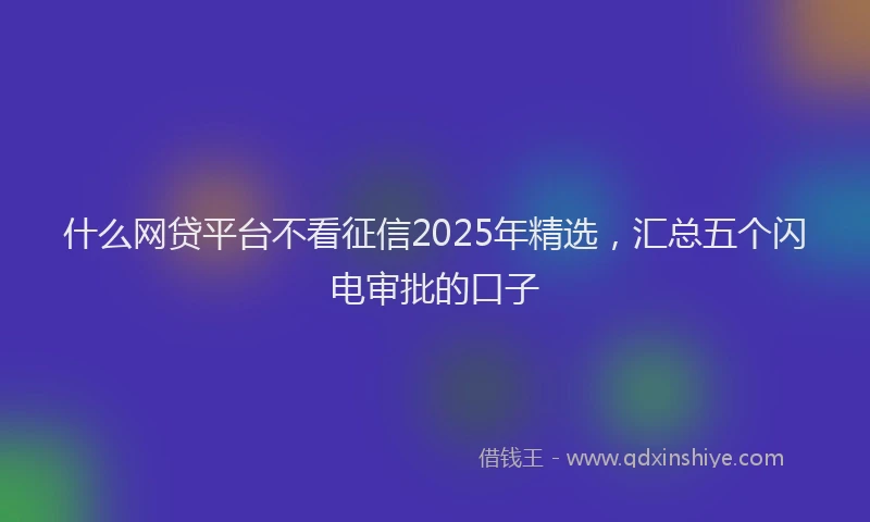 什么网贷平台不看征信2025年精选，汇总五个闪电审批的口子