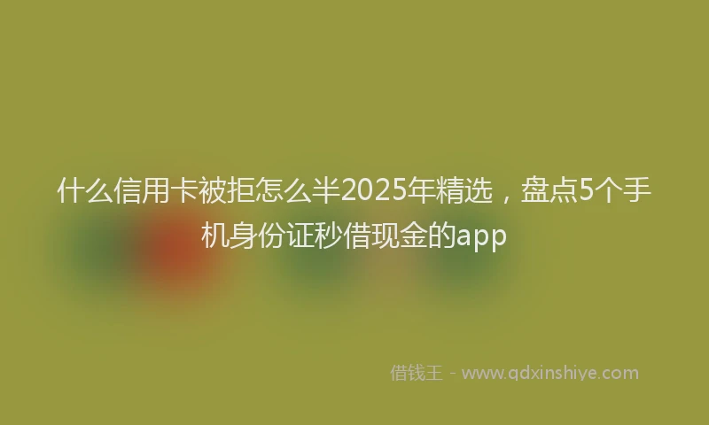 什么信用卡被拒怎么半2025年精选，盘点5个手机身份证秒借现金的app