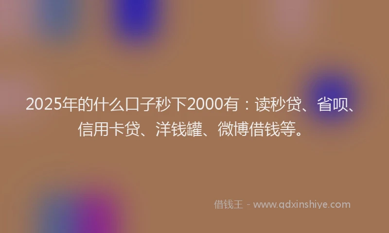 2025年的什么口子秒下2000有：读秒贷、省呗、信用卡贷、洋钱罐、微博借钱等。