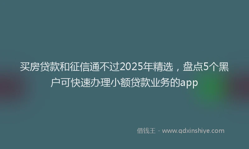 买房贷款和征信通不过2025年精选，盘点5个黑户可快速办理小额贷款业务的app