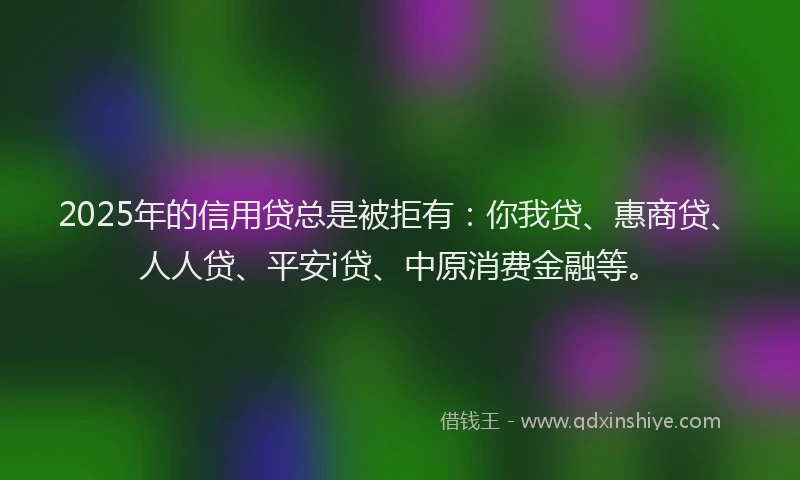 2025年的信用贷总是被拒有：你我贷、惠商贷、人人贷、平安i贷、中原消费金融等。