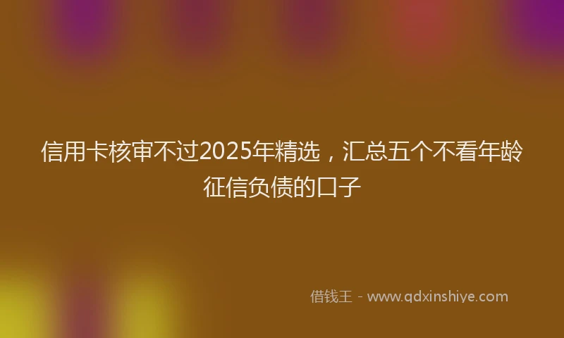 信用卡核审不过2025年精选，汇总五个不看年龄征信负债的口子