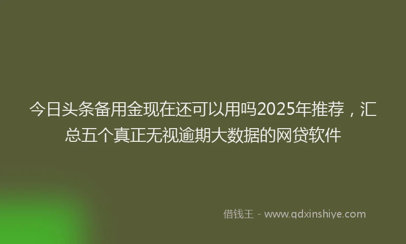 今日头条备用金现在还可以用吗2025年推荐，汇总五个真正无视逾期大数据的网贷软件