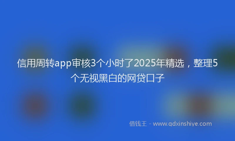 信用周转app审核3个小时了2025年精选，整理5个无视黑白的网贷口子