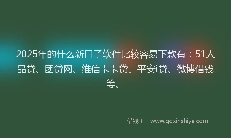 2025年的什么新口子软件比较容易下款有：51人品贷、团贷网、维信卡卡贷、平安i贷、微博借钱等。