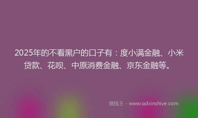 2025年的不看黑户的口子有：度小满金融、小米贷款、花呗、中原消费金融、京东金融等。