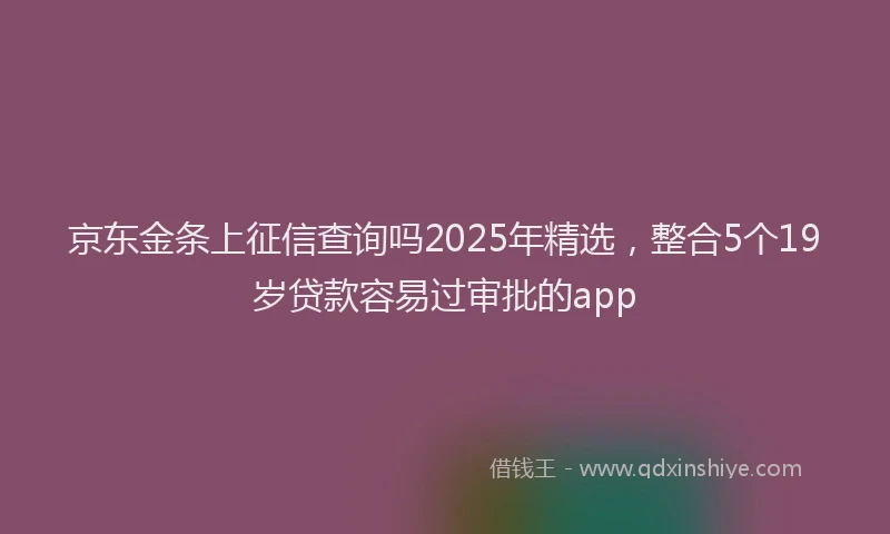 京东金条上征信查询吗2025年精选，整合5个19岁贷款容易过审批的app