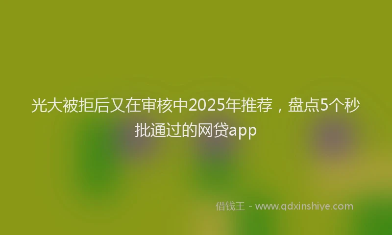 光大被拒后又在审核中2025年推荐，盘点5个秒批通过的网贷app