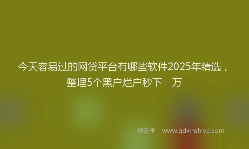 今天容易过的网贷平台有哪些软件2025年精选，整理5个黑户烂户秒下一万
